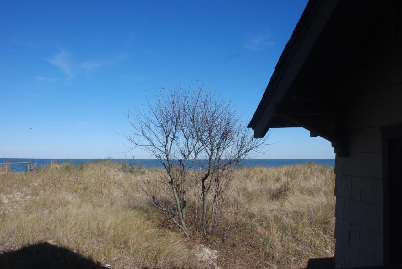 Rustic Rooftop Delight - Bay Front Apts Norfolk Exterior foto